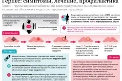 Наслідки герпесу на тілі людини основні групи (фото і відео) (перший по герпесу) Наслідки герпесу на тілі людини основні групи (фото і відео)