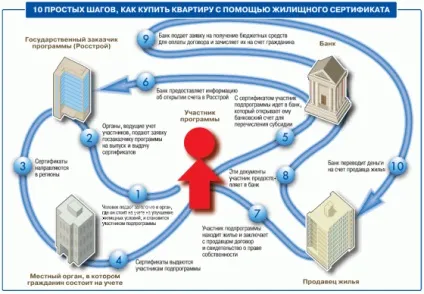 Покрокова схема покупки житла з використанням державного житлового сертифіката (використанням) Покрокова схема покупки житла з використанням державного житлового сертифіката