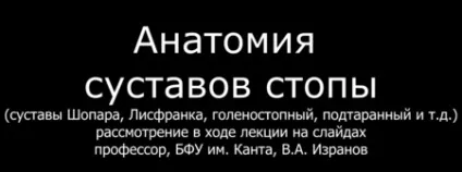 Предплюсне-плеснові суглоби (предплюсне-плеснові) Предплюсне-плеснові суглоби