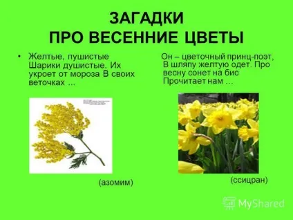 Презентація на тему пори року весна березень, квітень, травень (пори року весна березень) Презентація на тему пори року весна березень, квітень, травень