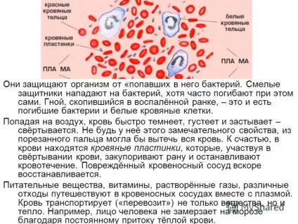 Презентація на тему 1 що таке повне розуміння тексту це вичитування трьох видів текстової (розуміння) Презентація на тему 1 що таке повне розуміння тексту це вичитування трьох видів текстової