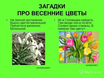 Презентація на тему пори року весна березень, квітень, травень (квітень) Презентація на тему пори року весна березень, квітень, травень