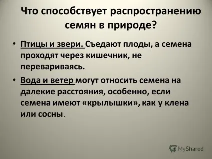 Презентація на тему чому потрібно берегти дерева чому потрібно берегти дерева дослідний (дерева) Презентація на тему чому потрібно берегти дерева чому потрібно берегти дерева дослідний