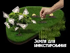 Продаж земельних ділянок на березі озера в області (ділянок) Продаж земельних ділянок на березі озера в області