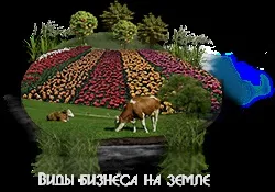 Продаж земельних ділянок на березі озера в області (ділянки на березі озера земля біля озера ціна купити вартість недорого земельні ділянки на березі продаж земельних ділянок купити ділянку біля озера) Продаж земельних ділянок на березі озера в області