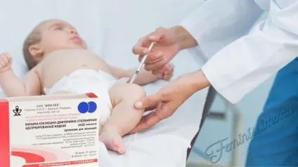Щеплення АКДС - розшифровка, реакція на вакцину і чи варто її робити (реакція) Щеплення АКДС - розшифровка, реакція на вакцину і чи варто її робити