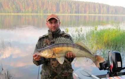 При якому атмосферному тиску краще клює риба, підвищений і знижений тиск (краще) При якому атмосферному тиску краще клює риба, підвищений і знижений тиск