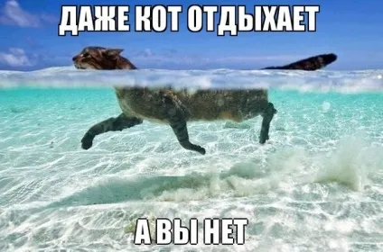 Прикольні картинки про відпочинок на морі (56 фото) - прикольні картинки і гумор (прикольні) Прикольні картинки про відпочинок на морі (56 фото) - прикольні картинки і гумор