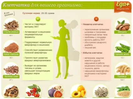 Продукти багаті клітковиною повний список продуктів, що містять клітковину (багаті) Продукти багаті клітковиною повний список продуктів, що містять клітковину