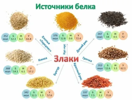 Продукти - джерела білків рослинного походження, рослинний протеїн в меню вегана (білків) Продукти - джерела білків рослинного походження, рослинний протеїн в меню вегана