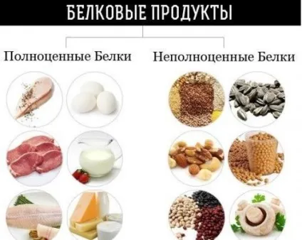 Продукти - джерела білків рослинного походження, рослинний протеїн в меню вегана (білків) Продукти - джерела білків рослинного походження, рослинний протеїн в меню вегана
