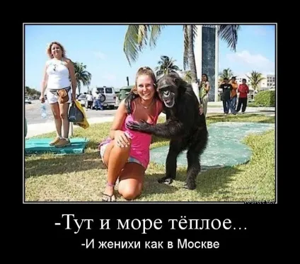 Прикольні картинки про відпочинок на морі (56 фото) - прикольні картинки і гумор (картинки) Прикольні картинки про відпочинок на морі (56 фото) - прикольні картинки і гумор
