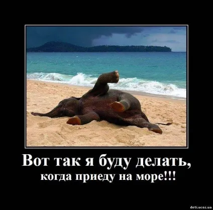 Прикольні картинки про відпочинок на морі (56 фото) - прикольні картинки і гумор (відпочинок) Прикольні картинки про відпочинок на морі (56 фото) - прикольні картинки і гумор