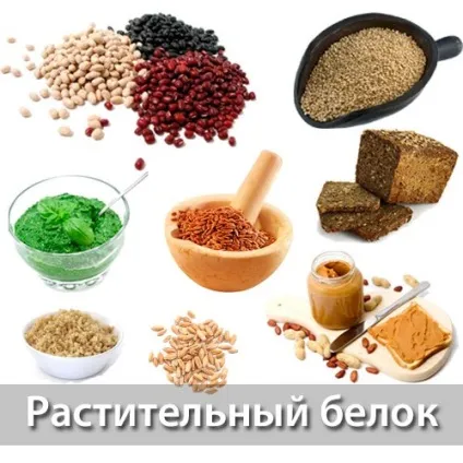 Продукти - джерела білків рослинного походження, рослинний протеїн в меню вегана (білків) Продукти - джерела білків рослинного походження, рослинний протеїн в меню вегана