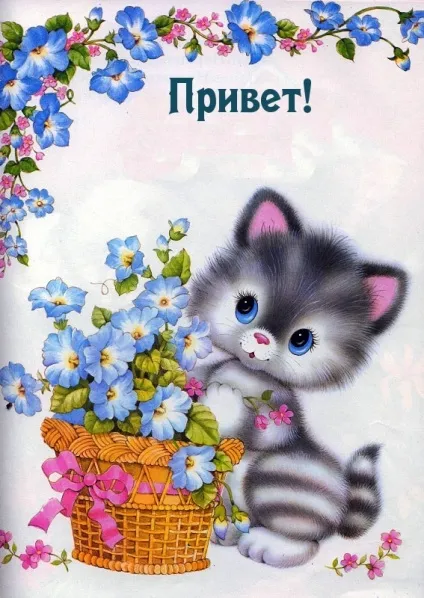 Прикольні, смішні та красиві картинки зі словом привіт (279 шт (прикольні) Прикольні, смішні та красиві картинки зі словом привіт (279 шт