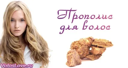 Прополіс для волосся рецепти настойки, масок і відгуки (прополіс) Прополіс для волосся рецепти настойки, масок і відгуки