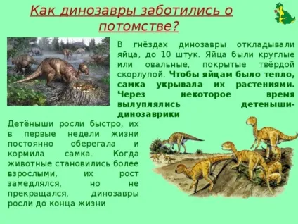 Проект - жили-були динозаври - початкові класи, презентації (динозаври) Проект - жили-були динозаври - початкові класи, презентації