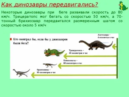 Проект - жили-були динозаври - початкові класи, презентації (початкові класи презентації проект & quot; жили-були динозаври & quot;) Проект - жили-були динозаври - початкові класи, презентації