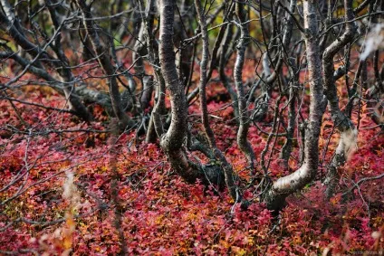 Подорож на край землі, фото новини (фото) Подорож на край землі, фото новини