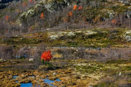 Подорож на край землі, фото новини (фото) Подорож на край землі, фото новини
