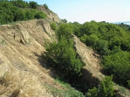 Рослини для зміцнення схилів - журнал - агрус розплідник (рослини) Рослини для зміцнення схилів - журнал - агрус розплідник