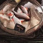 Річка сестра, російська рибалка