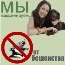 Рентген для кішок і собак в Тюмені, ветеринарна клініка ім (рентген для кішок) Рентген для кішок і собак в Тюмені, ветеринарна клініка ім