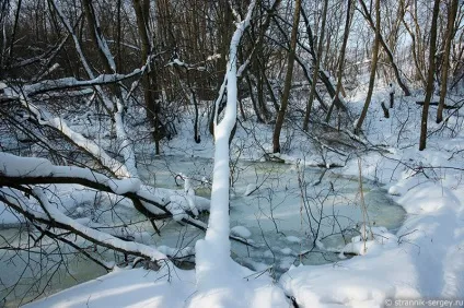 Річка сестра 1