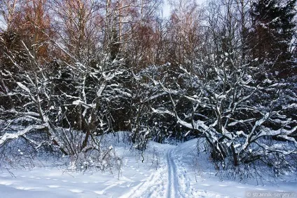 Річка сестра 1