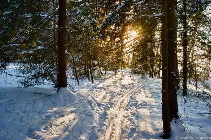 Річка сестра 1