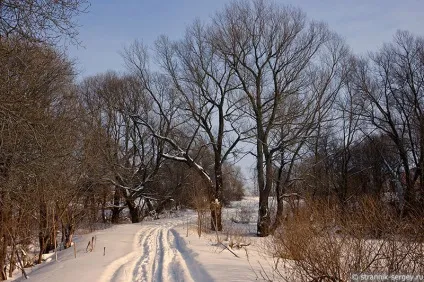 Річка сестра 1