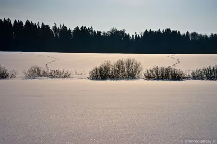 Річка сестра 1