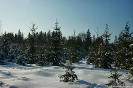 Річка сестра 1