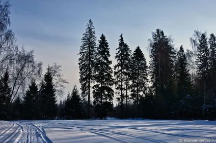Річка сестра 1