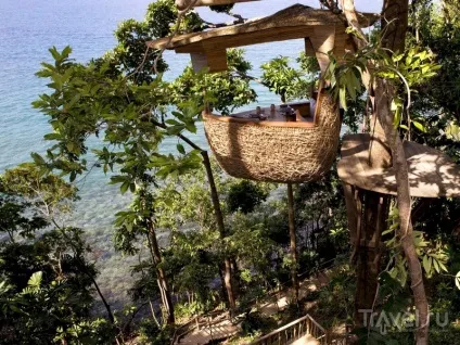 Ресторан treepod dining в Таїланді вечерю на висоті пташиного польоту (ресторан) Ресторан treepod dining в Таїланді вечерю на висоті пташиного польоту