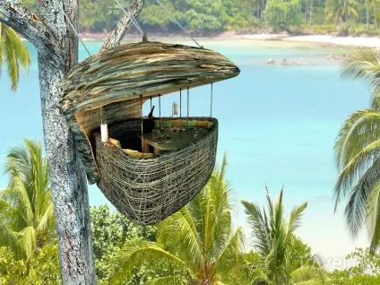 Ресторан treepod dining в Таїланді вечерю на висоті пташиного польоту (ресторан) Ресторан treepod dining в Таїланді вечерю на висоті пташиного польоту