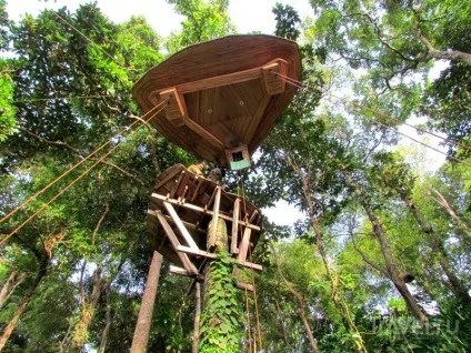 Ресторан treepod dining в Таїланді вечерю на висоті пташиного польоту (treepod) Ресторан treepod dining в Таїланді вечерю на висоті пташиного польоту