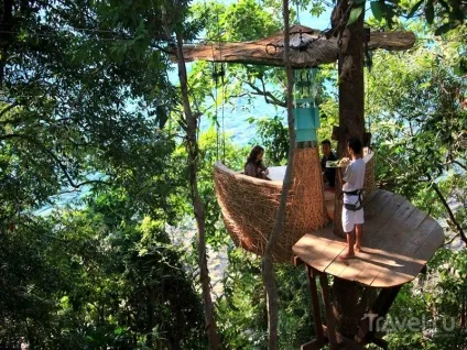 Ресторан treepod dining в Таїланді вечерю на висоті пташиного польоту (ресторан) Ресторан treepod dining в Таїланді вечерю на висоті пташиного польоту