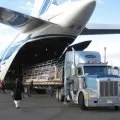Що значить юридичний переклад (ціна перекладу документів) Що значить юридичний переклад