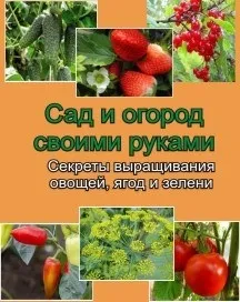 Дачники-онлайн газові балони (Газові балони повинні) Дачники-онлайн газові балони