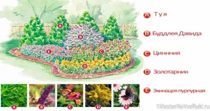 Квітники схеми посадки