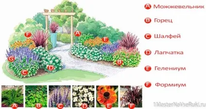 Квітники схеми посадки