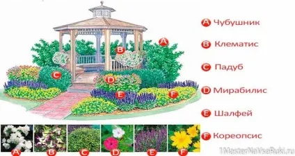 Квітники схеми посадки