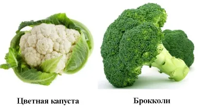Цвітна капуста і брокколі