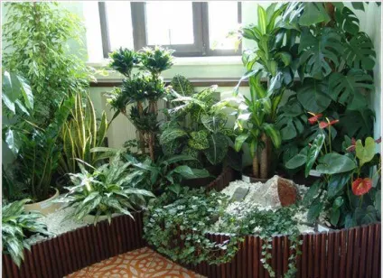 Квіти на балконі сонячному і затіненому, 14 фото оранжерей і зимового саду, поради щодо вибору (фото) Квіти на балконі сонячному і затіненому, 14 фото оранжерей і зимового саду, поради щодо вибору