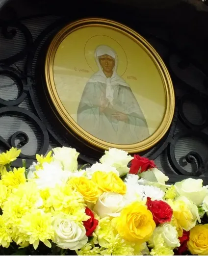 Квіти від матрони що з ними робити (робити) Квіти від матрони що з ними робити