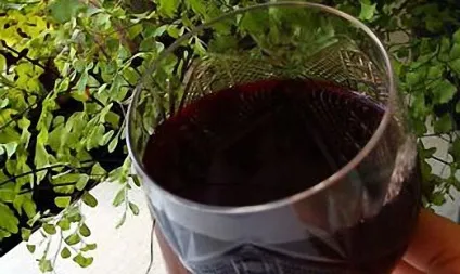Рецепти вина з горобини як зробити вино з чорноплідної і червоної горобини (горобини) Рецепти вина з горобини як зробити вино з чорноплідної і червоної горобини