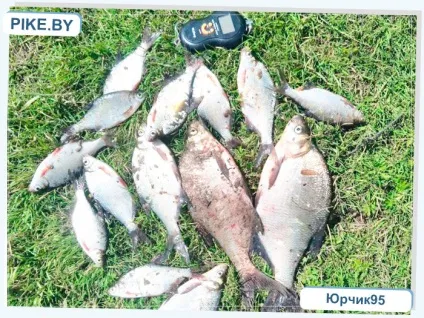 Риболовля на дніпрі влітку