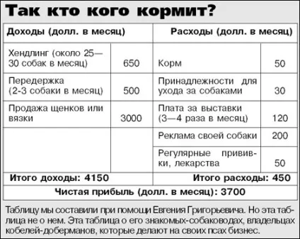 Розкіш собачого життя