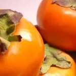 Салат айсберг - правила вибору і використання, блог про їжу і кулінарних рецептах (айсберг) Салат айсберг - правила вибору і використання, блог про їжу і кулінарних рецептах